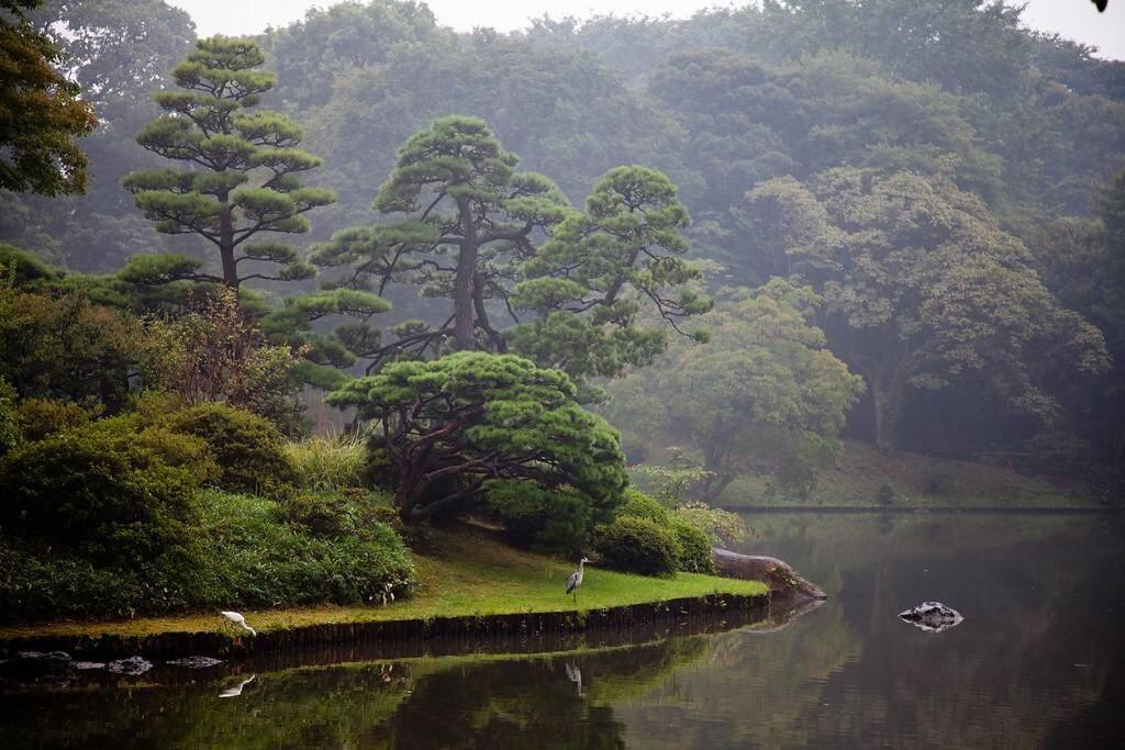 Tora Hotel Tokyo-Rikugienn 寅ホテル 六義園 A Dış mekan fotoğraf